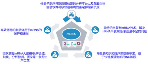 創(chuàng)新競爭2.0 國內(nèi)頭部藥企如何借力計算機(jī)網(wǎng)絡(luò)科技重塑研發(fā)格局